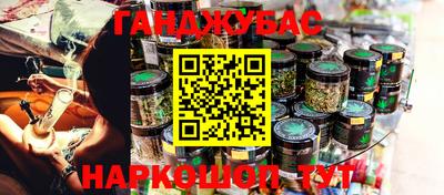 крисы Сланцы