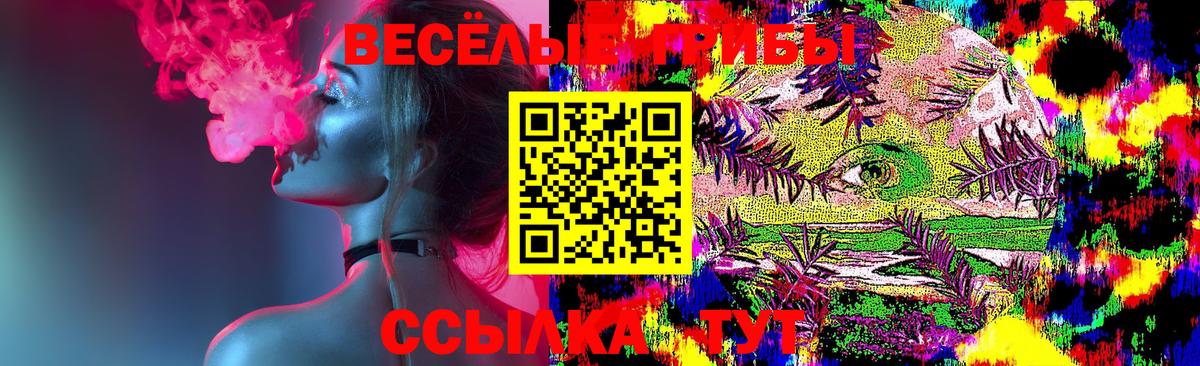 Галлюциногенные грибы MAGIC MUSHROOMS  что такое наркотик  Острогожск  Вход с VPN 